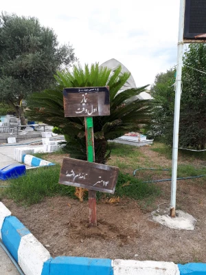 فضاسازی پردیس دکتر شریعتی مازندران به مناسبت گرامیداشت هفته دفاع مقدس 16